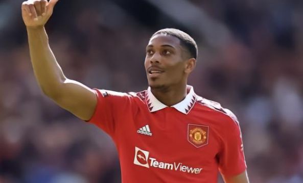 展现了自己 展现了自己